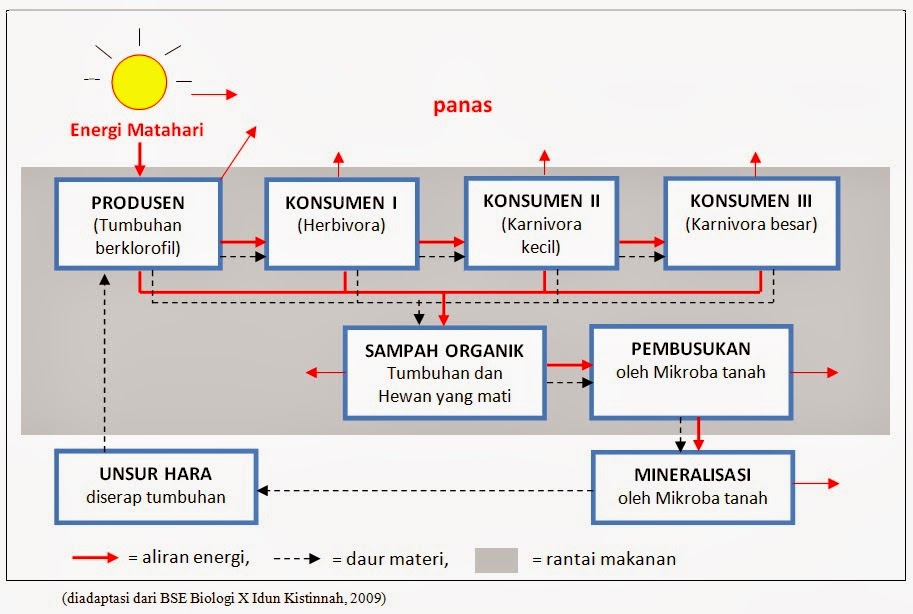 ALIRAN ENERGI DAN DAUR BIOGEOKIMIA BIOSMADA