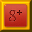  Google +