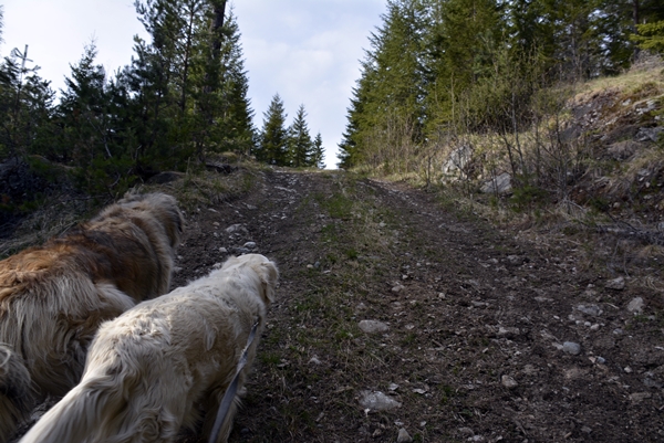 Tuftinåsen Jonskollen