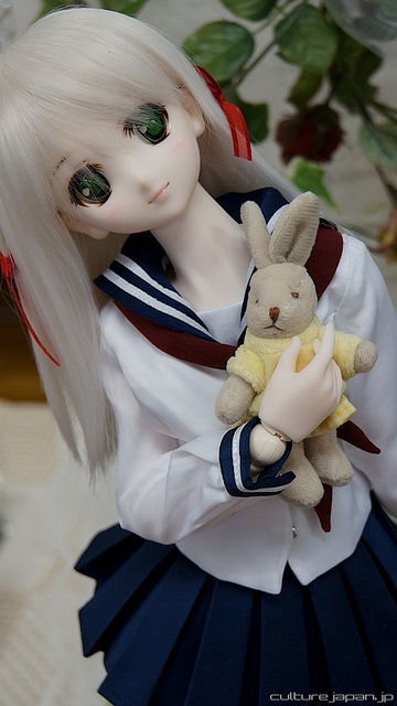  Pictures Of Cute Dolls