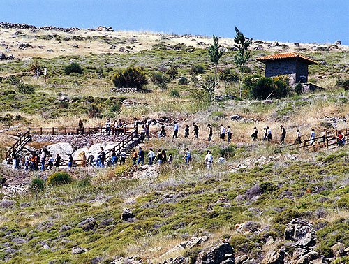 Hutan Fosil Kayu di Lesvos, Yunani 