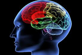 Tips Untuk Meningkatkan Daya Ingat Otak