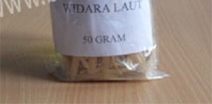 widara laut