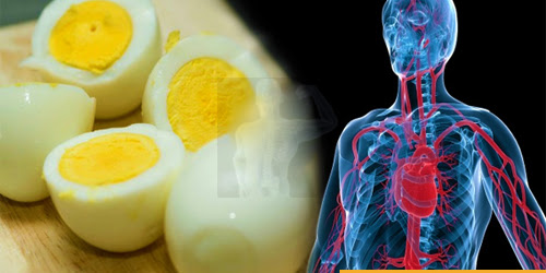 10 cosas que suceden en su cuerpo cuando usted come huevos