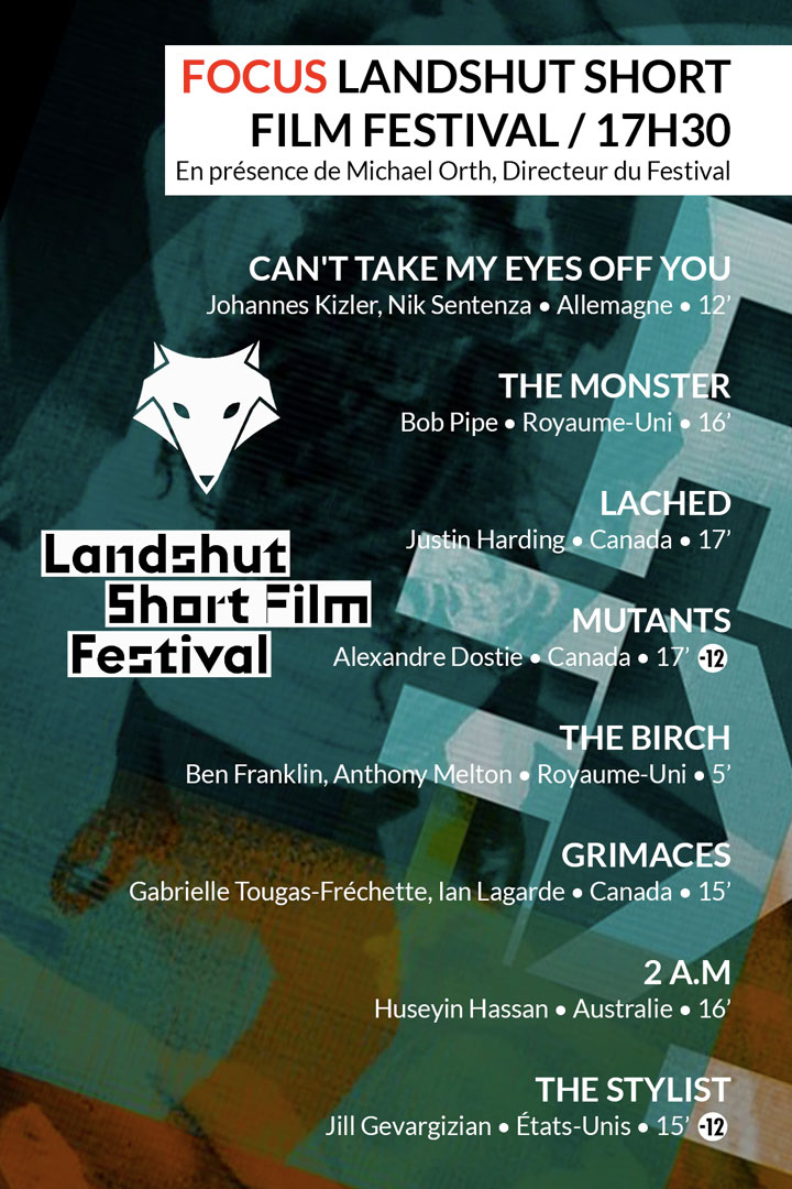 Focus Landshut Short Film Festival du samedi 24 février