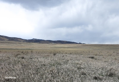 Colorado in March