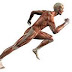 Aumenta el músculo en tus piernas