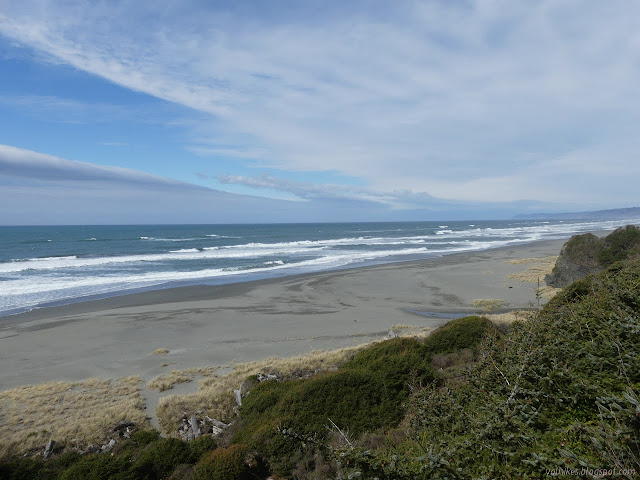 brushy hill side above a beach