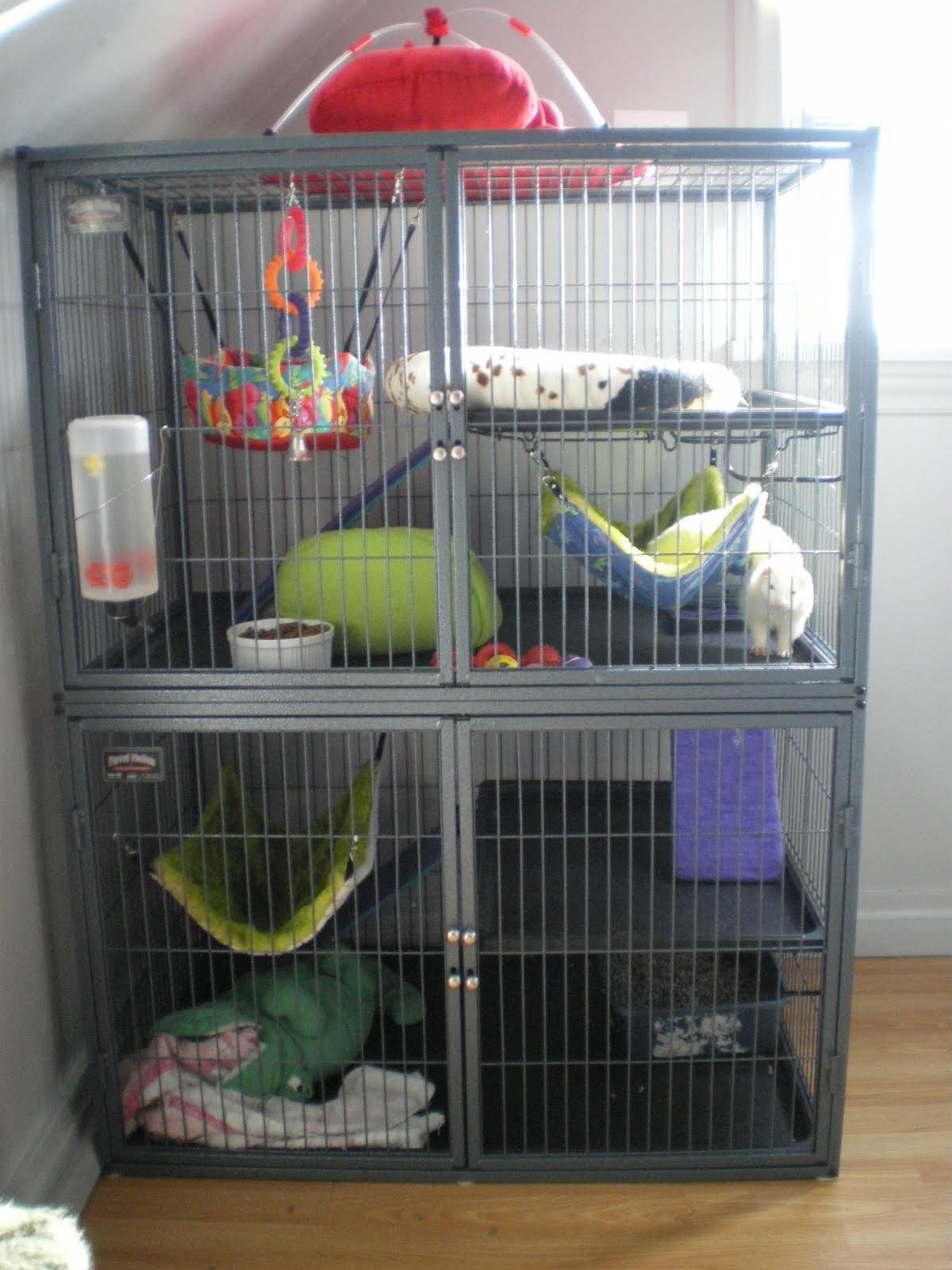 Ferret Nation Chinchilla Cage