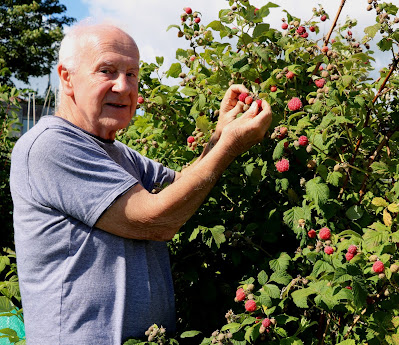 Raspberry Polka