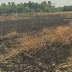 गाजीपुर में हाई टेंशन तार से निकली चिंगारी...जलकर राख हुई कई बीघा गेंहू की फसल, मुआवजे की मांग