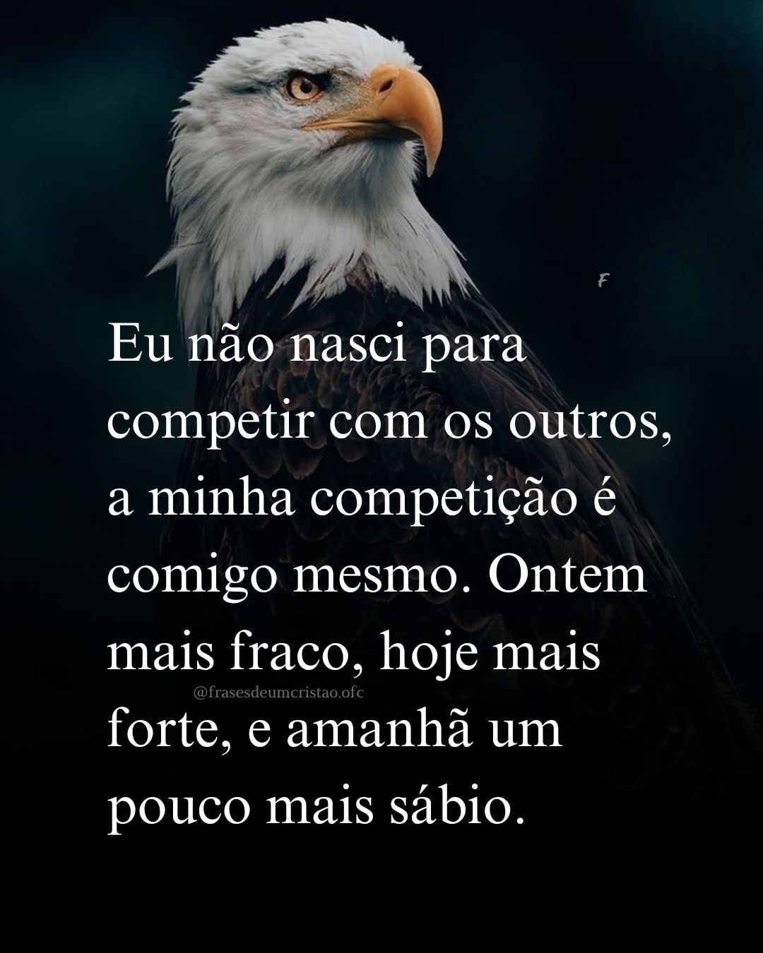 ⁠Eu não nasci para competir com os outros, a minha competição é comigo mesmo. Ontem mais fraco, hoje mais forte, e amanhã um pouco mais sábio.