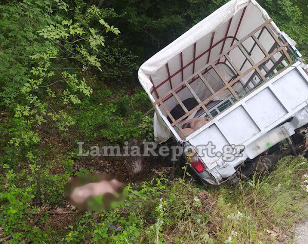 Έφυγε εκτός δρόμου φορτηγάκι με γουρούνια