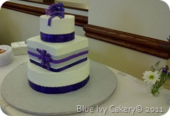 Kendra & Steven's Wedding Cake