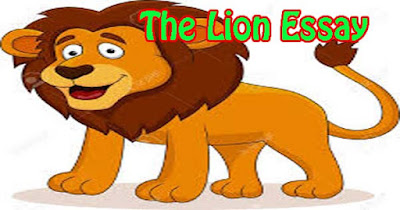 The best cover lion 