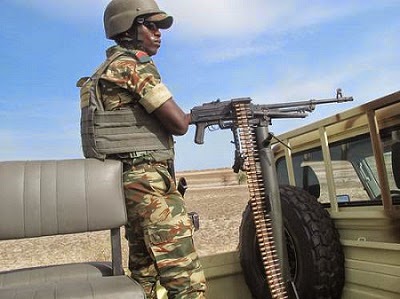 Cameroon Soldiers Kill 41 Boko Haram Militants