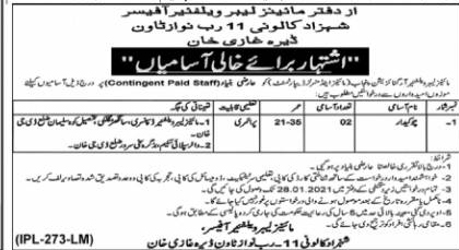 Mines & Minerals Department Punjab Jobs 2021 for Chowkidar Post Latest Advertisement