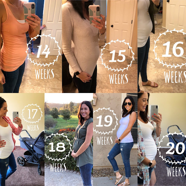 bump baby week by week 