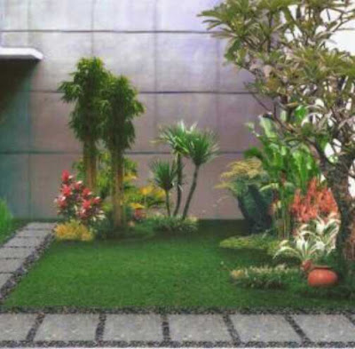 Desain taman rumah minimalis lahan sempit di belakang rumah