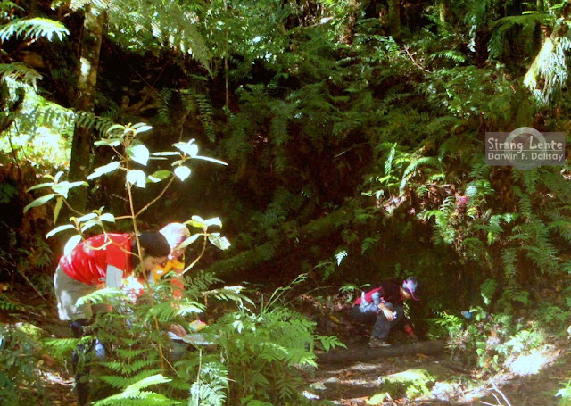 Mt. Apo Watersource