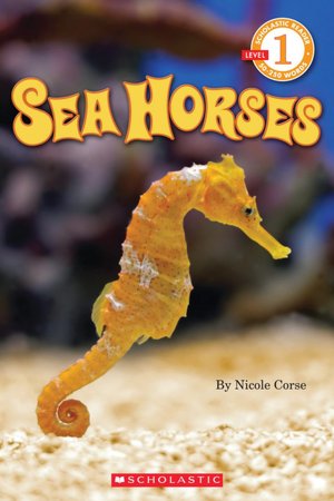 Primary Reading Party Seahorses Amp A Freebie