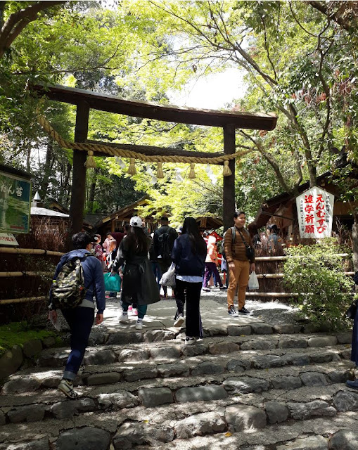 Bamboo Forest temple, Kyoto, Japan