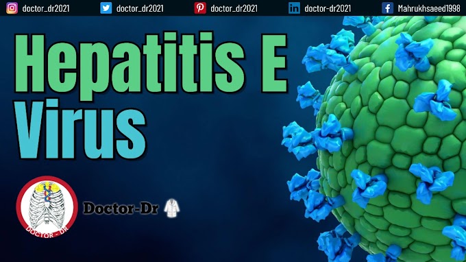 Hepatitis E Virus (HEV) - An Overview 