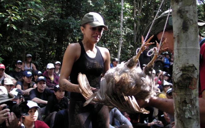 Dicas de como sobreviver na Selva