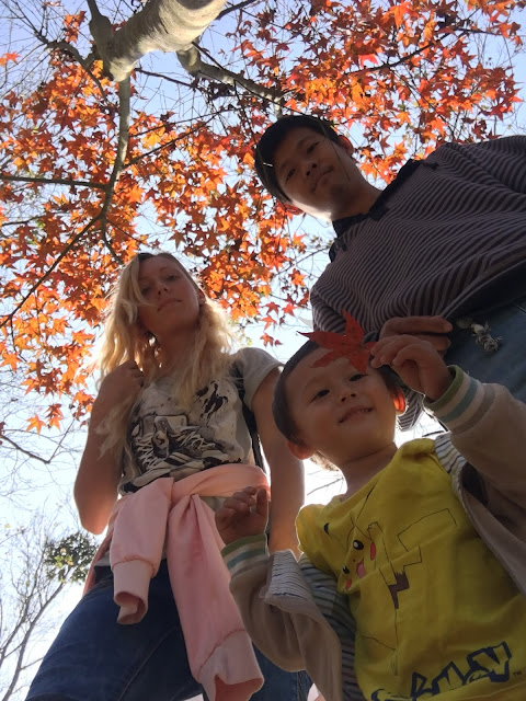 maple trees at Hongye Park 紅葉公園, Guanziling Scenic Area, Baihe, Tainan, Taiwan