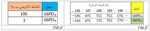 تمارين الخبر الوراثي  مع  الحل