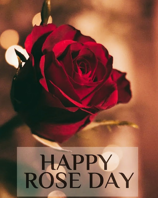 Happy Rose Day Pic Download