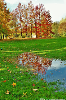 Golf de Bois le Roi, 77, (C) Greg Clouzeau