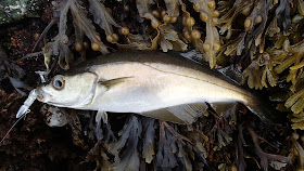 Morfa Nefyn Fishing