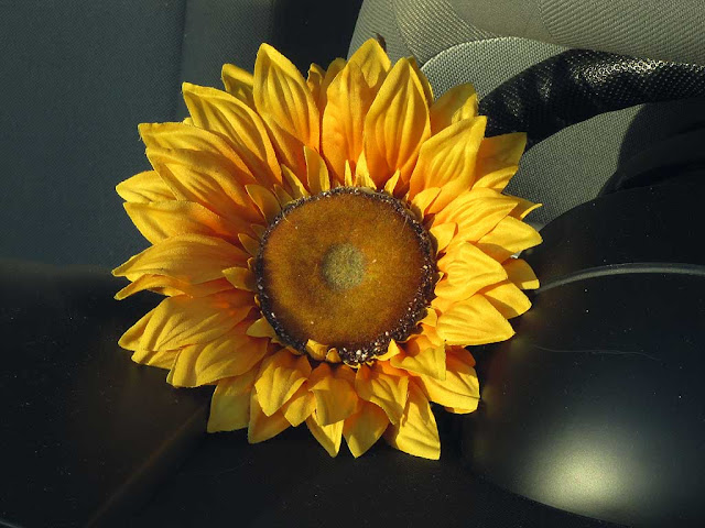 Finto girasole sul cruscotto di un'auto parcheggiata, Livorno