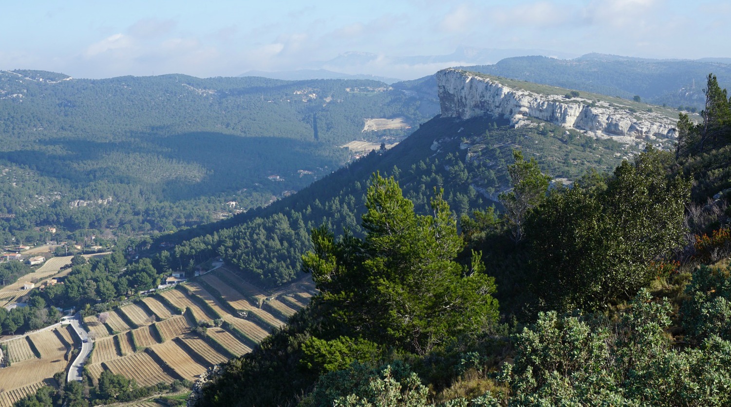 Cassis vineyards below Couronne de Charlemagne