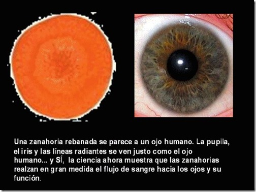 frutas 01