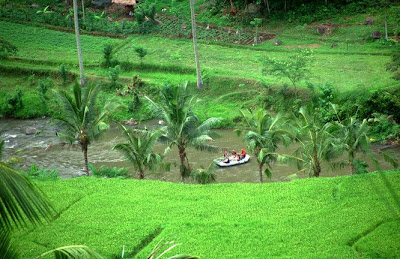 ubud