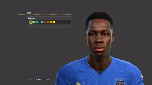 Wilfried Gnonto Face For PES 2013