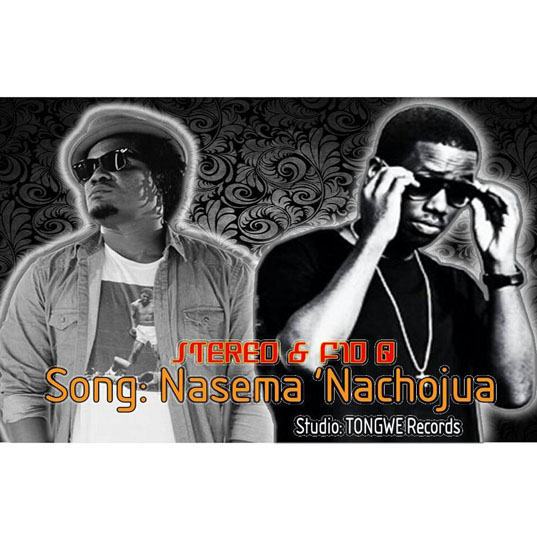 Stereo Ft. Fid Q - Nasema Nachojua