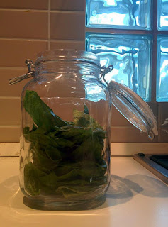 Jar with basil leaves