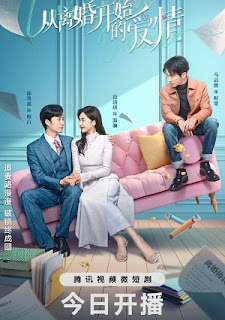 Tình Yêu Bắt Đầu Từ Ly Hôn - Love From Divorce (2024)