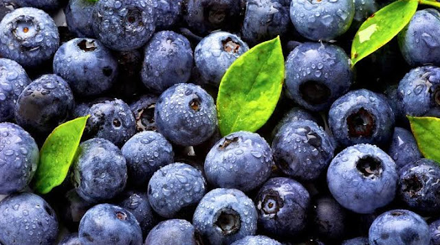 Blueberry merupakan buah yang kaya akan antioksidan. Blueberry juga tinggi akan serat, vitamin C, vitamin K, dan mangan.