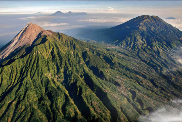 Hutan Indonesia