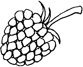 Apple Tree Coloring Page