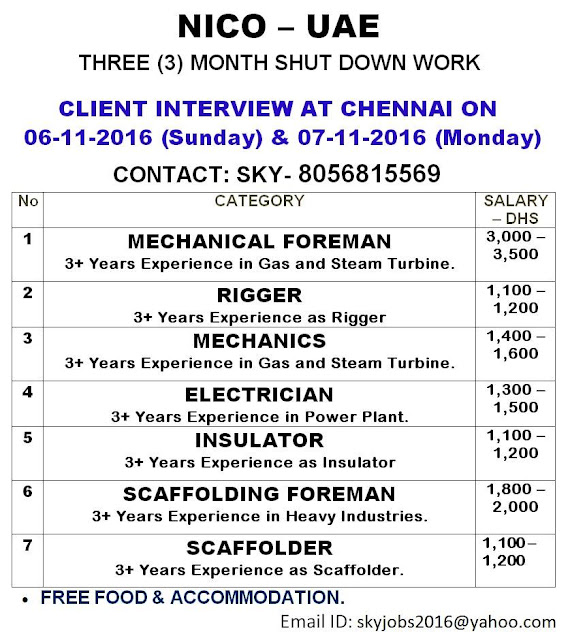 NICO UAE Large job vacancies