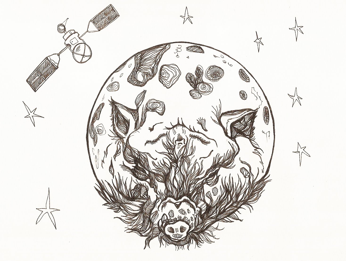 Web Space: Moon Pig