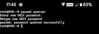 Set OpenVPN Password