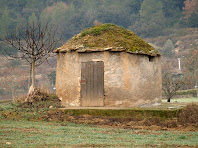 La barraca de vinya dels camps de Sant Benet