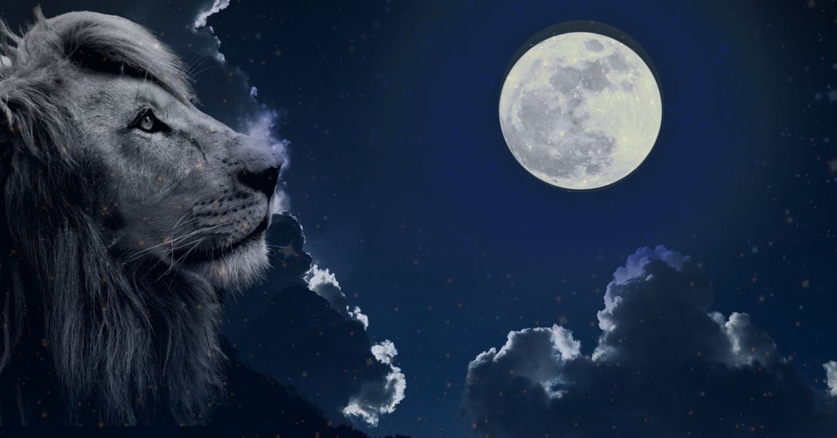 28 y 29 de Enero: Luna Llena en Leo.¡Emociónate con lo que está por venir!