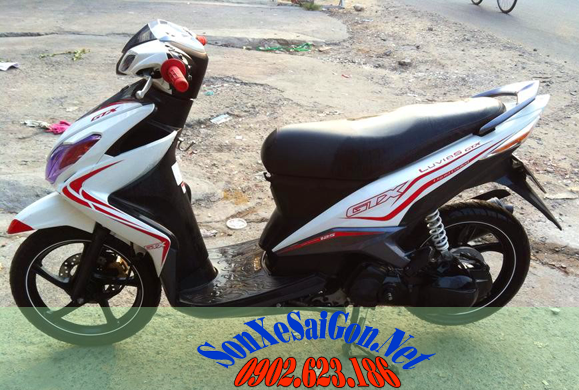 Sơn xe Yamaha Luvias màu trắng đen